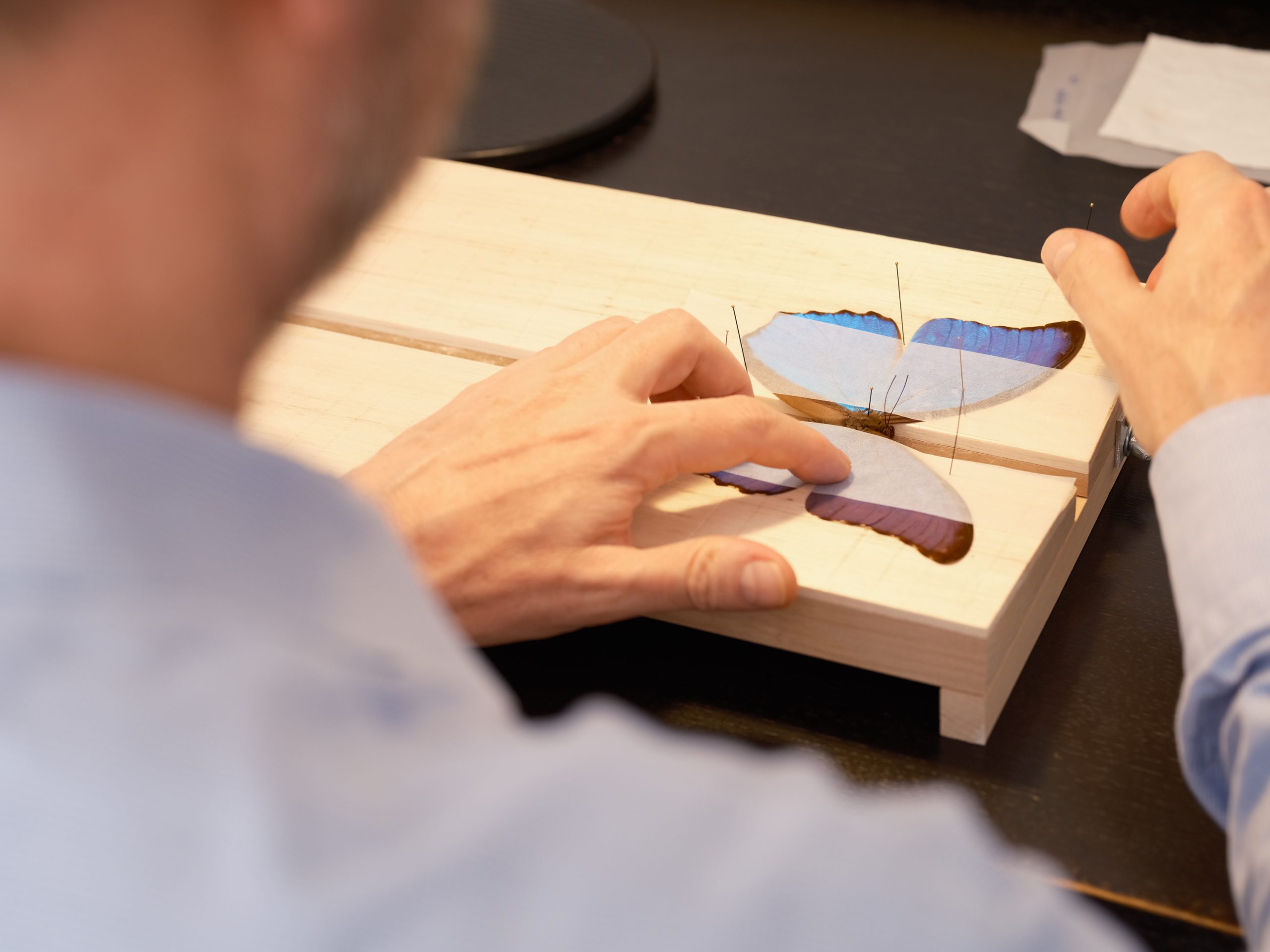 Concept & Engagement