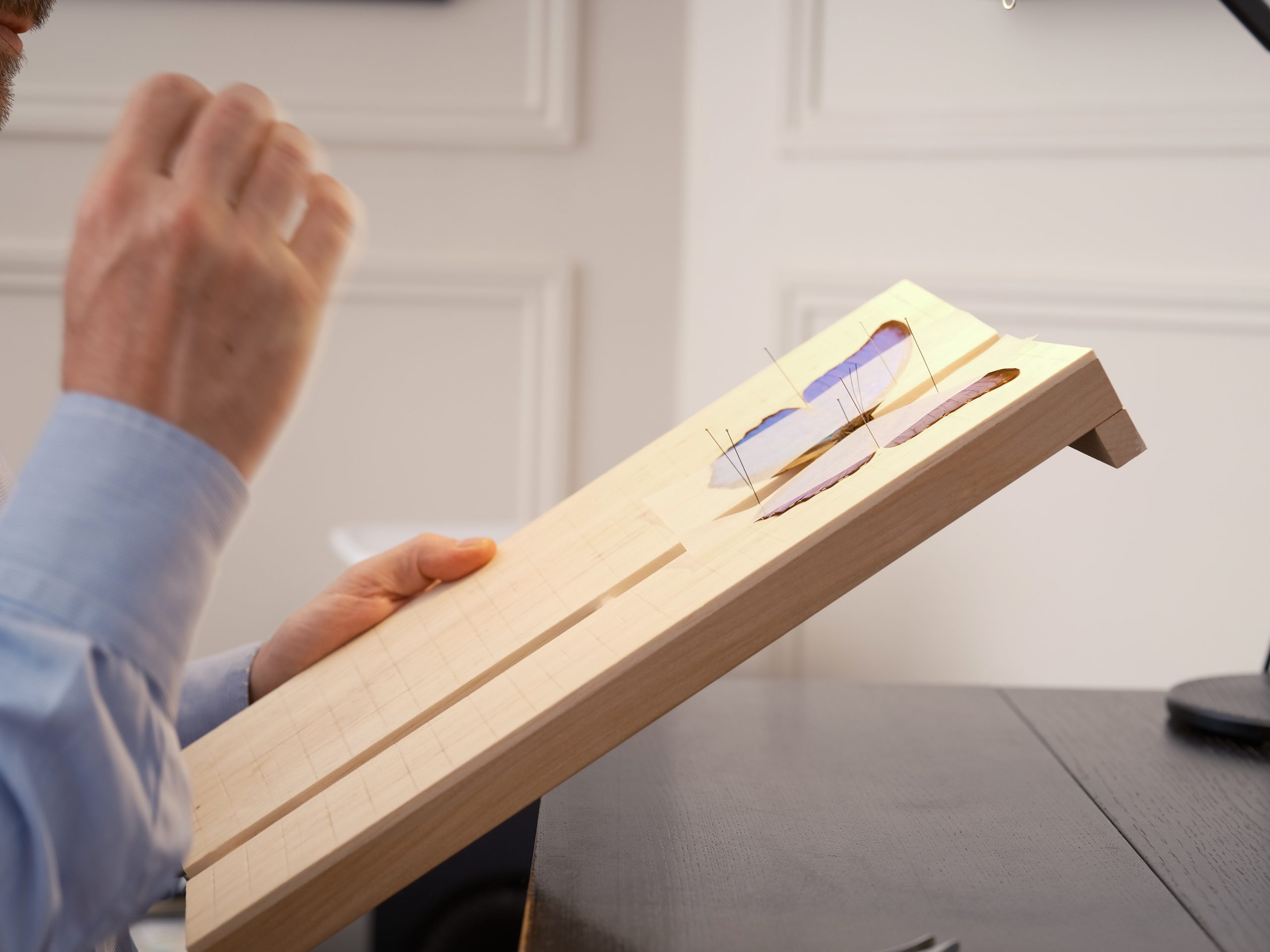 Concept & Engagement