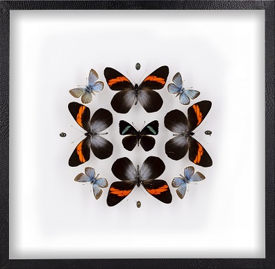 boite-10-26×26-1-scaled